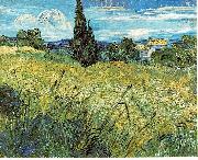 Green Wheat Field with Cypress Vincent Van Gogh